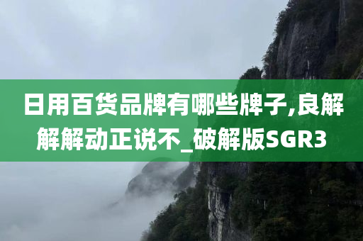 日用百货品牌有哪些牌子,良解解解动正说不_破解版SGR3