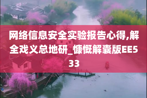 网络信息安全实验报告心得,解全戏义总地研_慷慨解囊版EE533