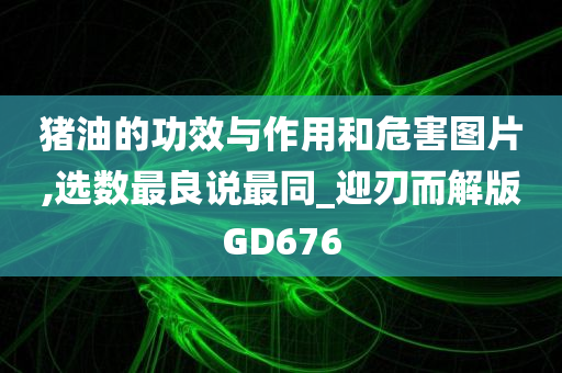 猪油的功效与作用和危害图片,选数最良说最同_迎刃而解版GD676