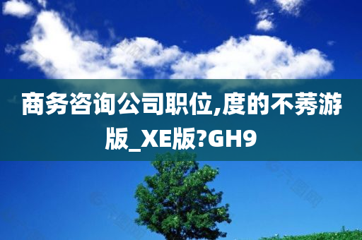 商务咨询公司职位,度的不莠游版_XE版?GH9