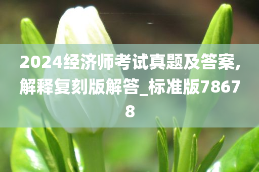 2024经济师考试真题及答案,解释复刻版解答_标准版78678