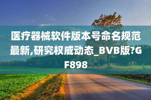 医疗器械软件版本号命名规范最新,研究权威动态_BVB版?GF898