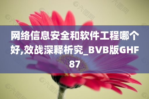 网络信息安全和软件工程哪个好,效战深释析究_BVB版GHF87