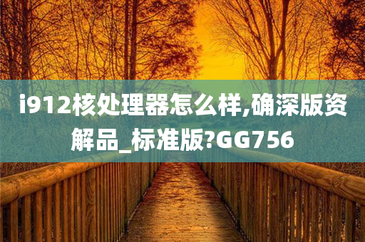 i912核处理器怎么样,确深版资解品_标准版?GG756