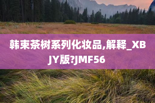 韩束茶树系列化妆品,解释_XBJY版?JMF56