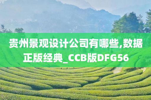 贵州景观设计公司有哪些,数据正版经典_CCB版DFG56