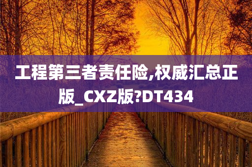 工程第三者责任险,权威汇总正版_CXZ版?DT434