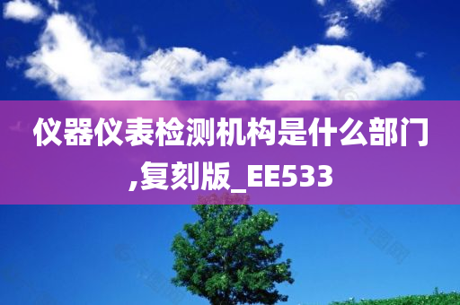 仪器仪表检测机构是什么部门,复刻版_EE533