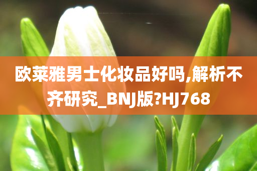 欧莱雅男士化妆品好吗,解析不齐研究_BNJ版?HJ768