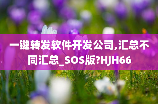 一键转发软件开发公司,汇总不同汇总_SOS版?HJH66