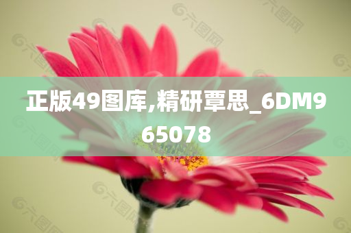 正版49图库,精研覃思_6DM965078