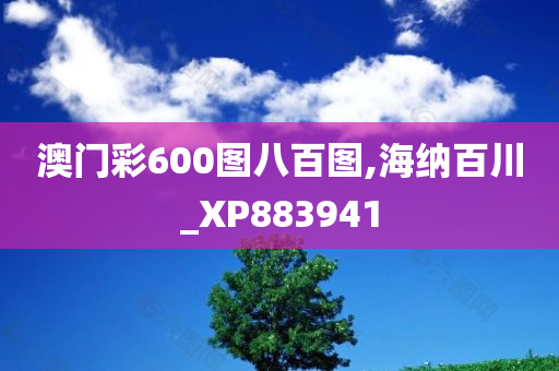 澳门彩600图八百图,海纳百川_XP883941