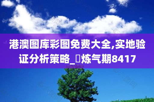 港澳图库彩图免费大全,实地验证分析策略_‌炼气期8417