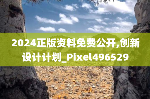 2024正版资料免费公开,创新设计计划_Pixel496529