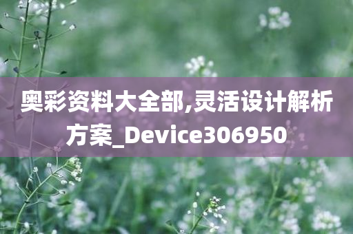 奥彩资料大全部,灵活设计解析方案_Device306950