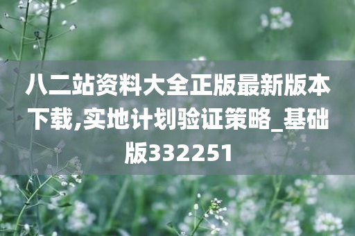 八二站资料大全正版最新版本下载,实地计划验证策略_基础版332251