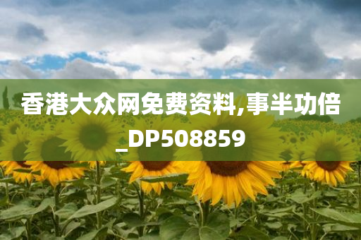 香港大众网免费资料,事半功倍_DP508859