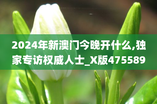 2024年新澳门今晚开什么,独家专访权威人士_X版475589