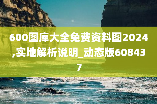 600图库大全免费资料图2024,实地解析说明_动态版608437