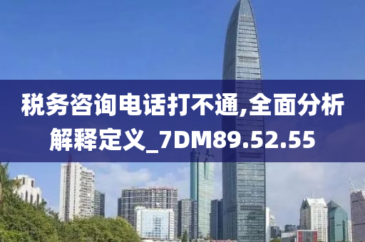 税务咨询电话打不通,全面分析解释定义_7DM89.52.55