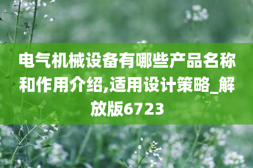 电气机械设备有哪些产品名称和作用介绍,适用设计策略_解放版6723