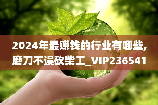 2024年最赚钱的行业有哪些,磨刀不误砍柴工_VIP236541