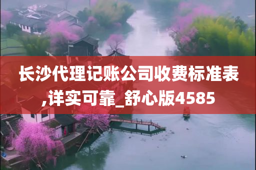 长沙代理记账公司收费标准表,详实可靠_舒心版4585