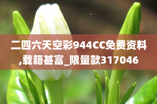 二四六天空彩944CC免费资料,载籍甚富_限量款317046