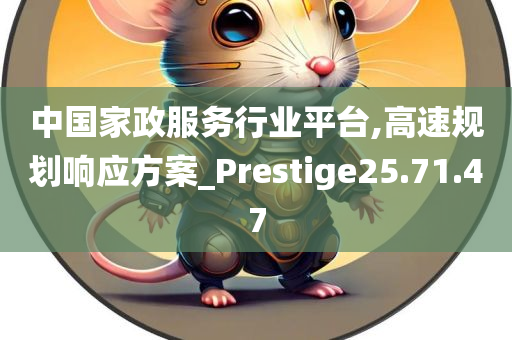 中国家政服务行业平台,高速规划响应方案_Prestige25.71.47