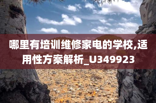 哪里有培训维修家电的学校,适用性方案解析_U349923