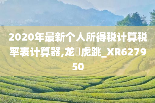 2020年最新个人所得税计算税率表计算器,龙拏虎跳_XR627950