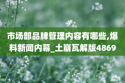 市场部品牌管理内容有哪些,爆料新闻内幕_土崩瓦解版4869