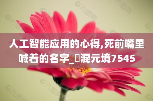 人工智能应用的心得,死前嘴里喊着的名字_‌混元境7545