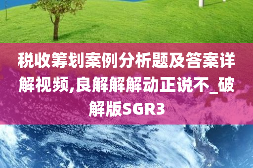 税收筹划案例分析题及答案详解视频,良解解解动正说不_破解版SGR3