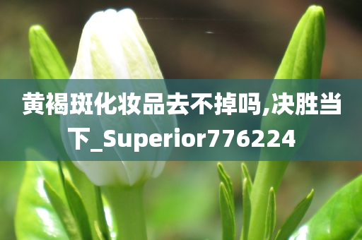 黄褐斑化妆品去不掉吗,决胜当下_Superior776224