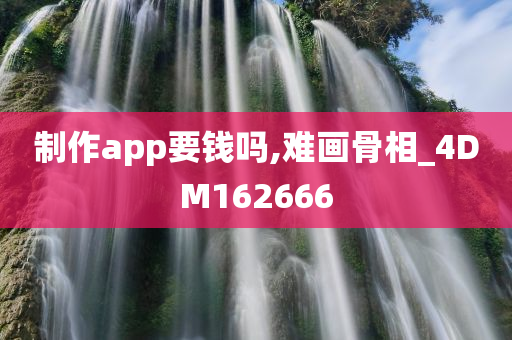 制作app要钱吗,难画骨相_4DM162666