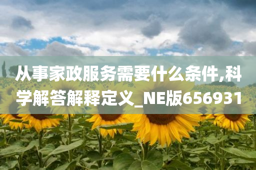 从事家政服务需要什么条件,科学解答解释定义_NE版656931