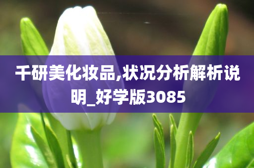 千研美化妆品,状况分析解析说明_好学版3085