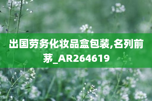 出国劳务化妆品盒包装,名列前茅_AR264619