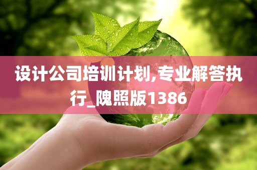 设计公司培训计划,专业解答执行_隗照版1386