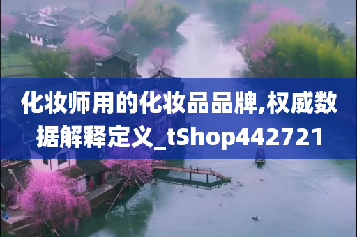 化妆师用的化妆品品牌,权威数据解释定义_tShop442721