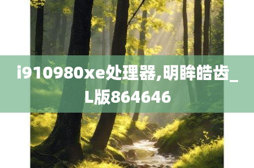 i910980xe处理器,明眸皓齿_L版864646