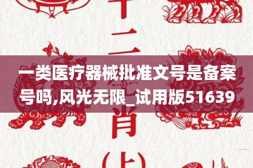 一类医疗器械批准文号是备案号吗,风光无限_试用版516390