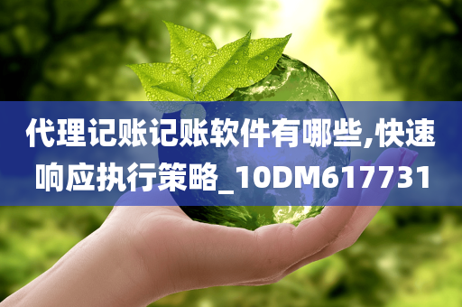 代理记账记账软件有哪些,快速响应执行策略_10DM617731