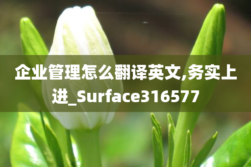 企业管理怎么翻译英文,务实上进_Surface316577