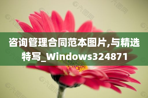 咨询管理合同范本图片,与精选特写_Windows324871