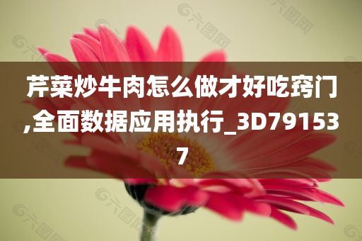 芹菜炒牛肉怎么做才好吃窍门,全面数据应用执行_3D791537