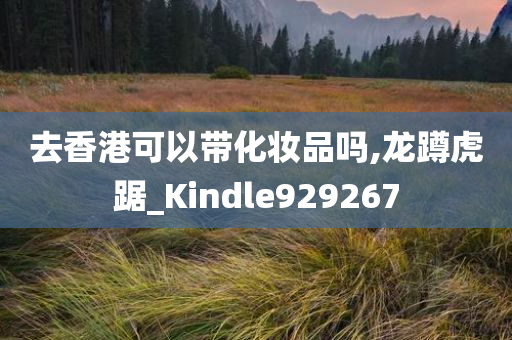 去香港可以带化妆品吗,龙蹲虎踞_Kindle929267