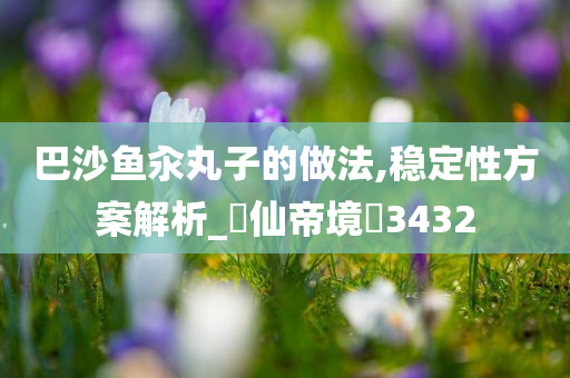 巴沙鱼汆丸子的做法,稳定性方案解析_‌仙帝境‌3432