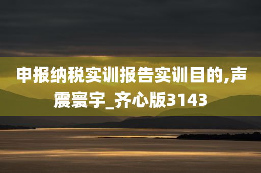 申报纳税实训报告实训目的,声震寰宇_齐心版3143